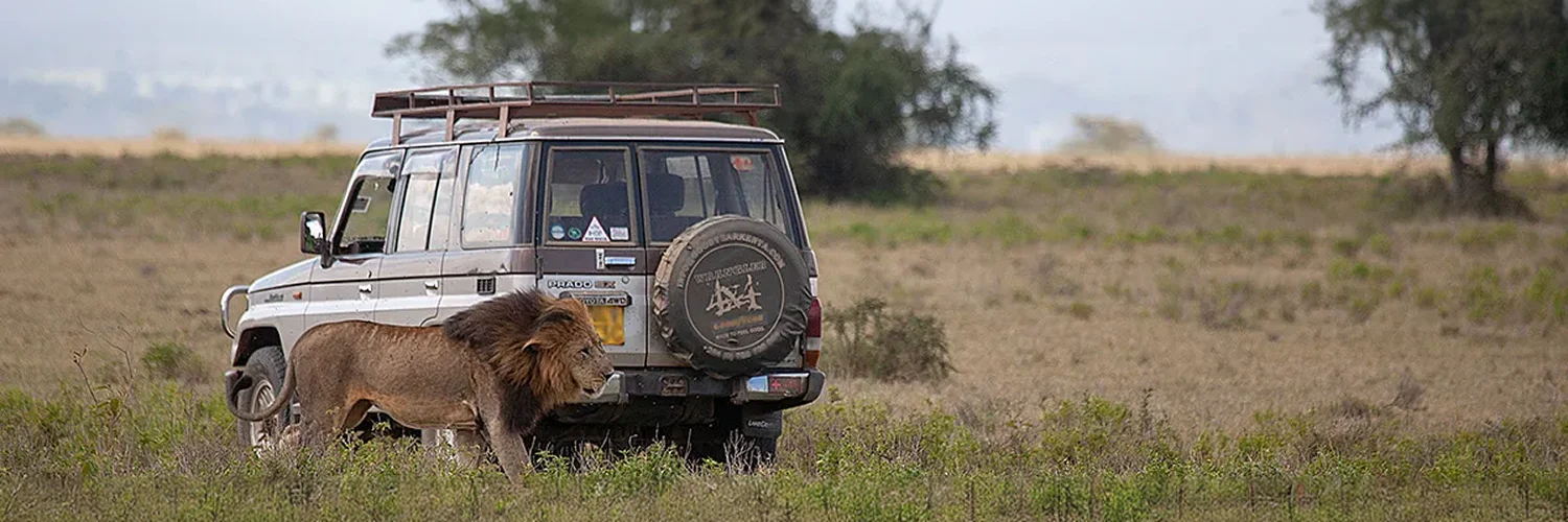 1200webannascarandphillipe_img_5042-1-crop-u603650 1.webp